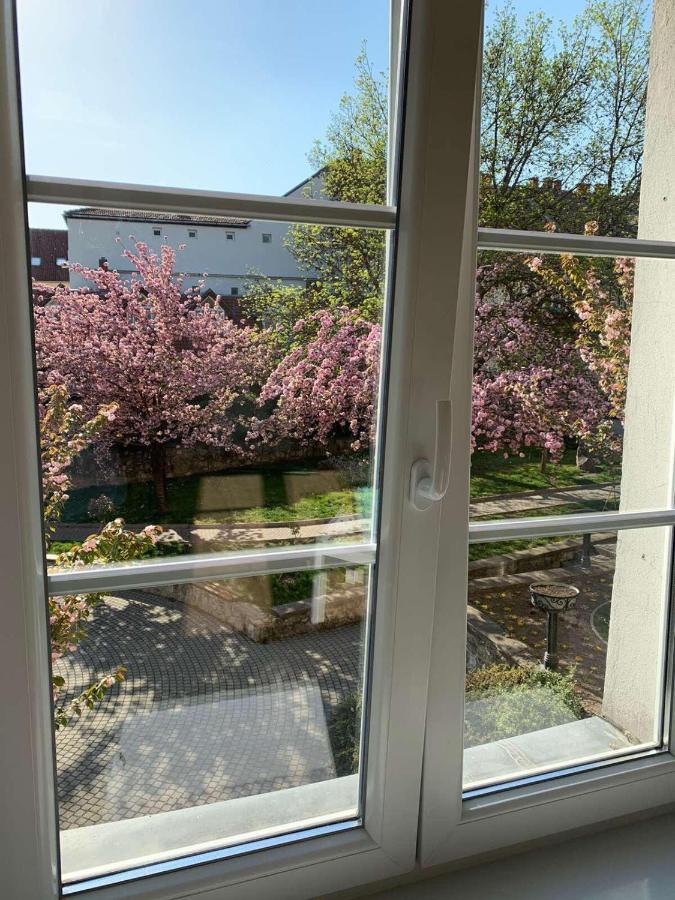 Negy Evszak Apartman- Tapolca Exteriér fotografie
